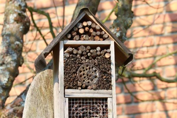 Maak je eigen insectenhotel!